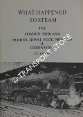 Book cover of What Happened to Steam by HANDS, Peter